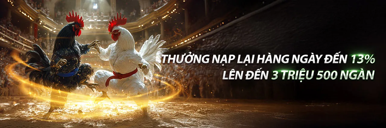 Hỗ trợ khách hàng 24/7
