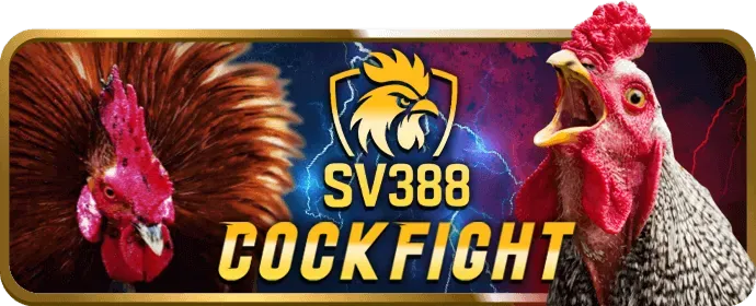 Tốc độ xử lý giao dịch nhanh chóng của du88 win