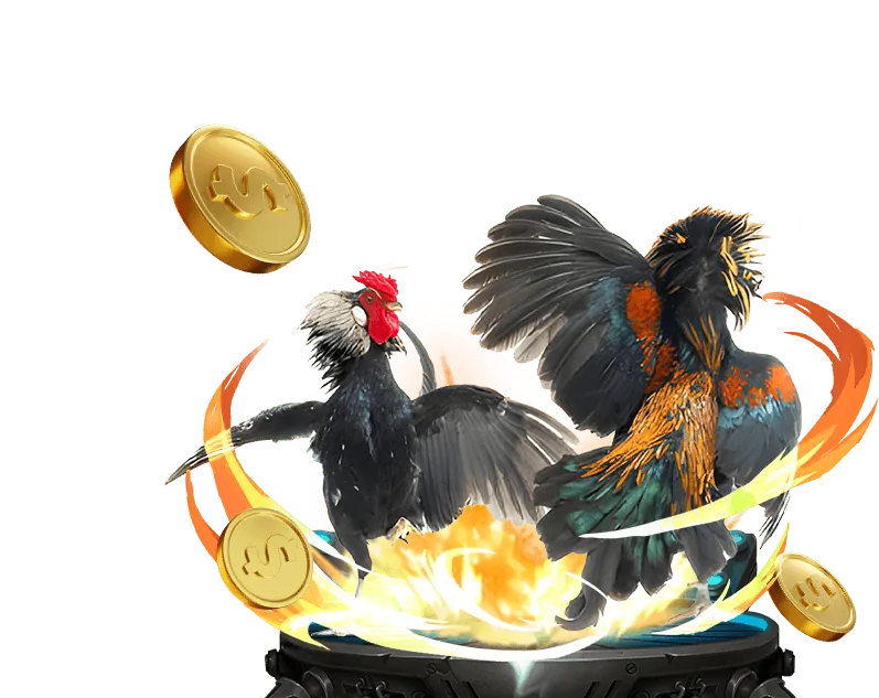 Hướng dẫn tham gia và nâng cấp cấp độ VIP du88 win